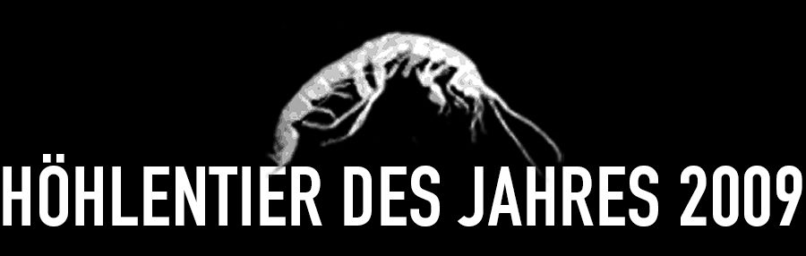 Höhlenflohkrebs - Höhlentier des Jahres 2009 - Header