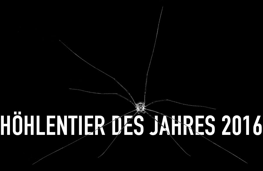 Höhlenlangbein - Höhlentier des Jahres 2016 - Header