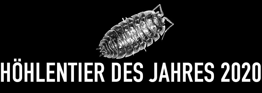 Mauerassel - Höhlentier des Jahres 2020 - Header
