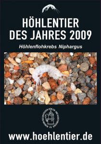 Höhlenflohkrebs - Höhlentier des Jahres 2009 - Poster