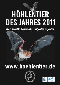 Großes Mausohr&nbsp;- Höhlentier des Jahres 2011 - Poster