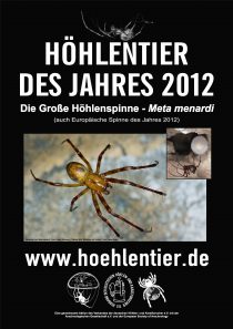 Große Höhlenspinne - Höhlentier des Jahres 2012 - Poster