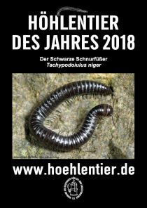 Schwarzer Schnurfüßer - Höhlentier des Jahres 2018 - Poster