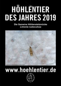 Gemeine Höhlenstelzmücke - Höhlentier des Jahres 2019 - Poster