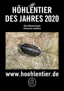 Mauerassel - Höhlentier des Jahres 2020 - Poster
