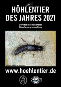 Höhlen-Raubkäfer - Höhlentier des Jahres 2021 - Poster