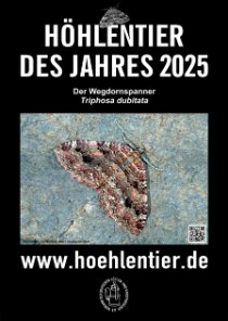 Wegdornspanner, Olivbrauner Höhlenspanner - Höhlentier des Jahres 2025 - Poster