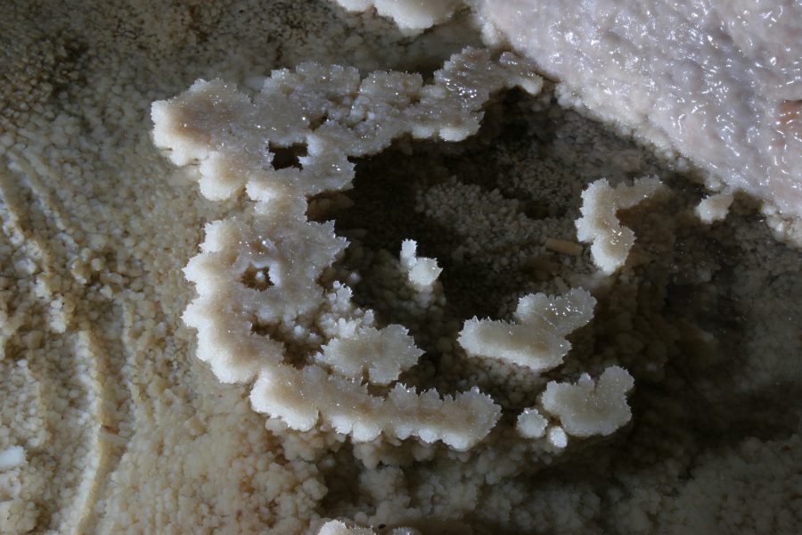 Subterranean Ecosystems