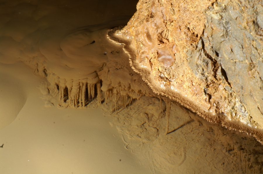 Subterranean Ecosystems