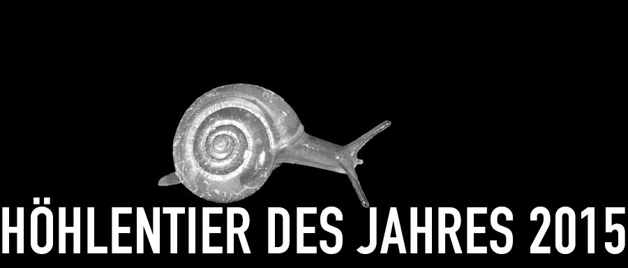 Keller-Glanzschnecke - Höhlentier des Jahres 2015 - Header