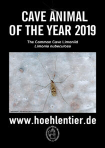 Common Cave Limoniid - Cave Animal of the Year 2019 - Poster