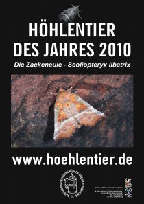 Zackeneule - Höhlentier des Jahres 2010 - Poster