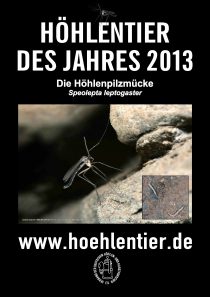 Höhlenpilzmücke - Höhlentier des Jahres 2013 - Poster