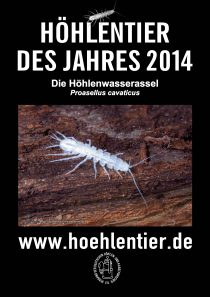 Höhlenwasserassel - Höhlentier des Jahres 2014 - Poster