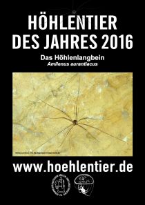 Höhlenlangbein - Höhlentier des Jahres 2016 - Poster