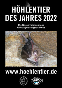 Kleine Hufeisennase - Höhlentier des Jahres 2022 - Poster