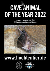 Lesser Horseshoe Bat - Cave Animal of the Year 2022 - Poster